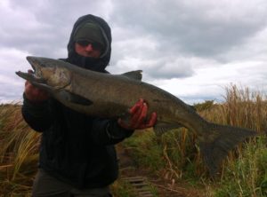 Boris with his first of many king salmon for the day