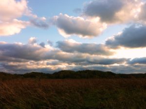  Afternoon glow over the meadow