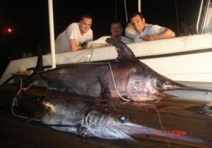 sword fish - night fishing - Tavernier - fishing guides