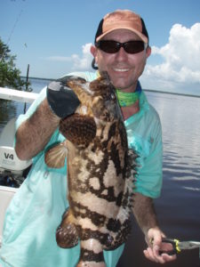 goliath grouper - backcountry - fishing guide - Flamingo