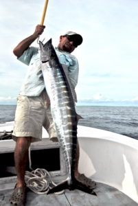 high speed trolling - wahoo - Tavernier - fishing charters