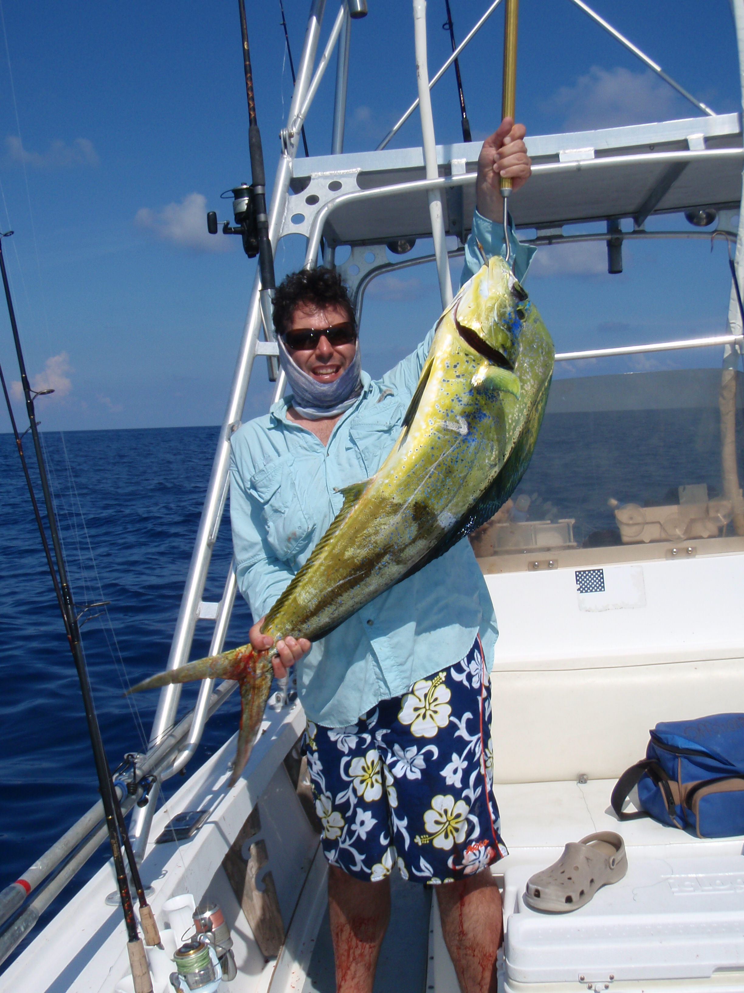 The Head of a Caught Fish with a Wobbler in Its Mouth Stock Image - Image  of trophy, caught: 211533319