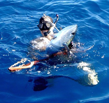 25lb Black Fin Kill Key West