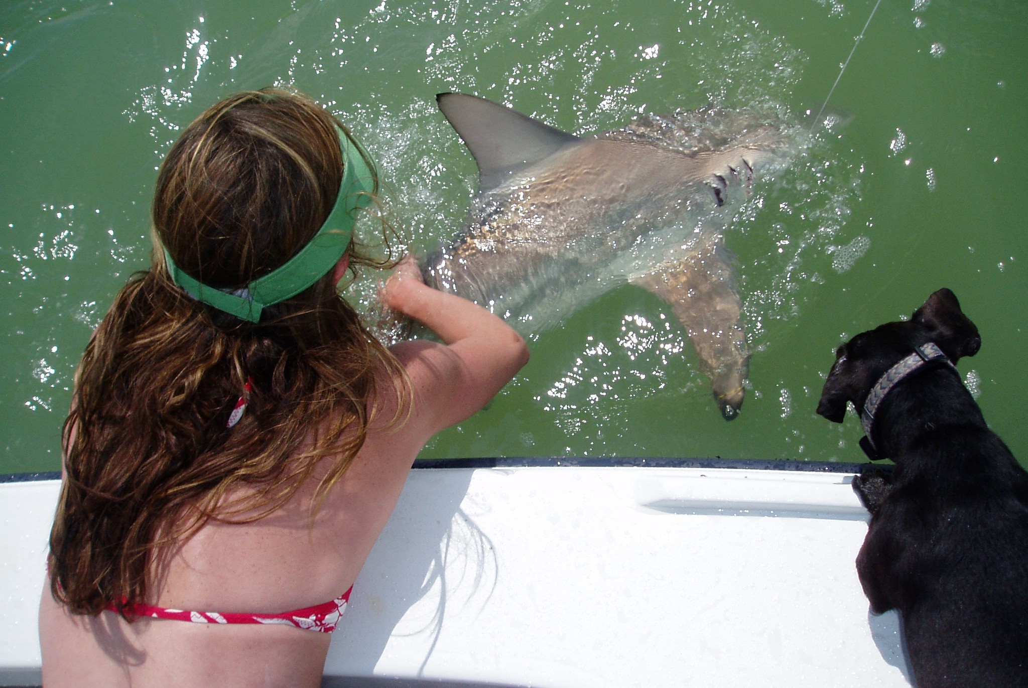 The Girls with a Healthy Blacktip