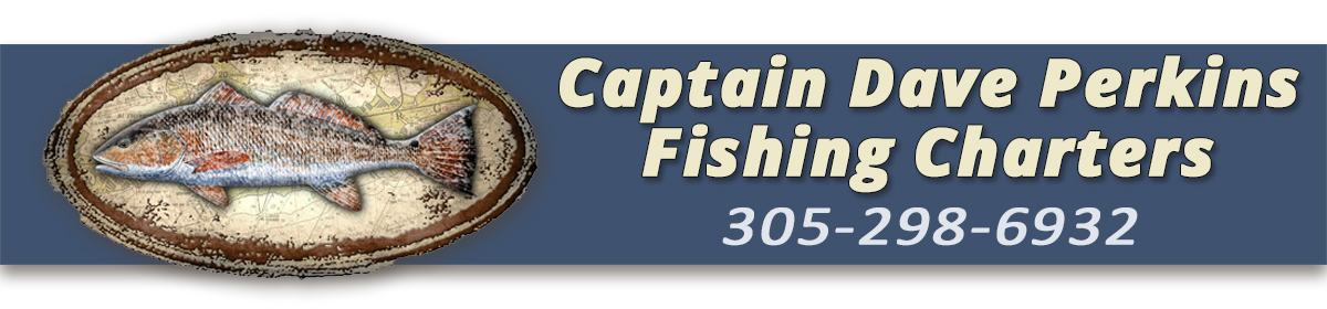 Captain Dave Perkins Fishing Charters