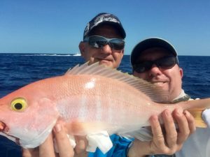 fishing charter - snapper - bottom fishing - islamorada