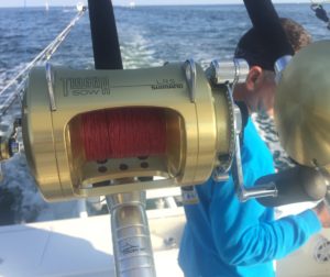 fishing - shimano - islamorada - marlin