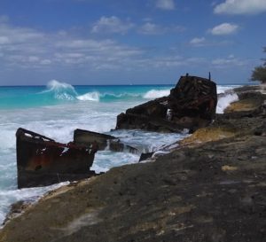 travel - ship - fish - bahamas